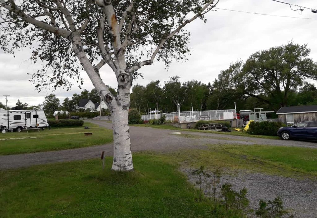 Picture of Area of Ville Guay by Mon Petit Pret