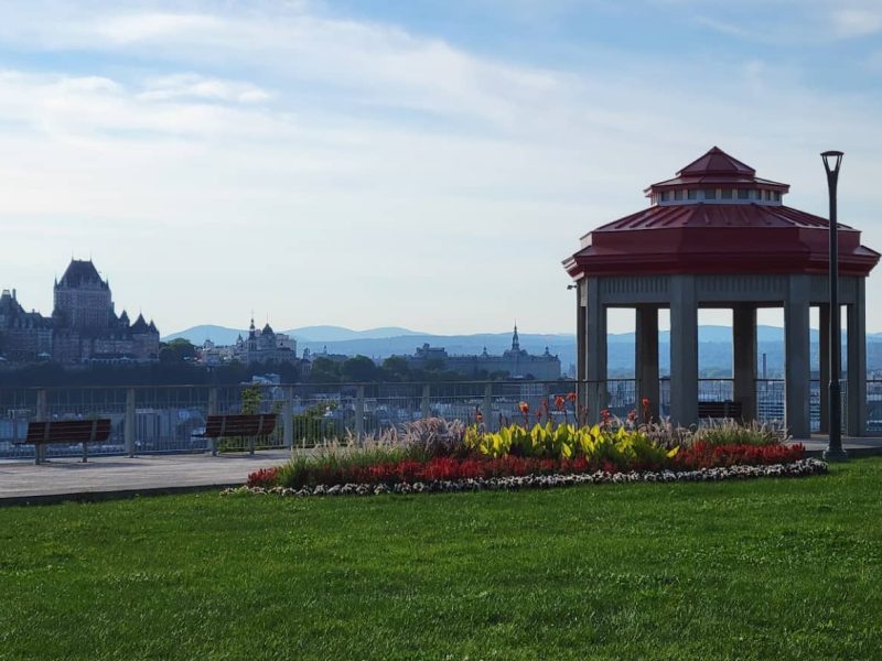 Picture of Culture of Desjardins by Mon Petit Pret