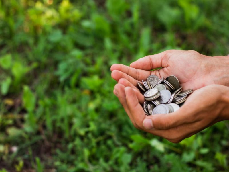 Thumbnail Picture of Microfinance in the Digital Age Fintech and Small Loans by Mon Petit Pret